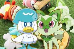 quaxly and sprigatito in front of sleeping pokemon plushes.